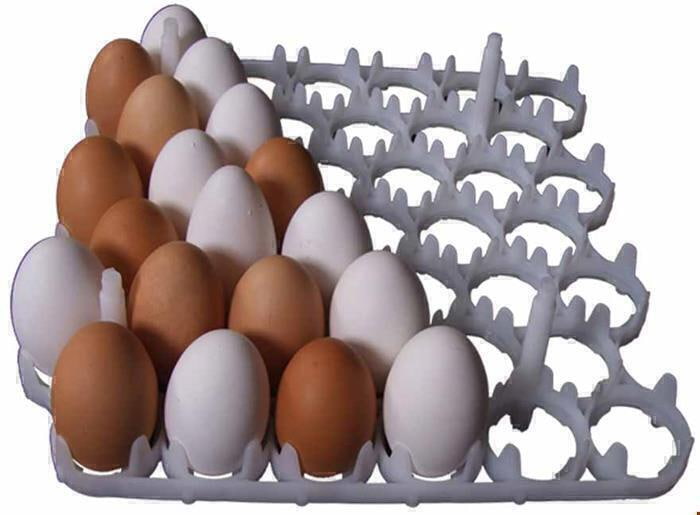 تصویر 1 از شانه تخم مرغ عمده راهکار بسته بندی پایدار